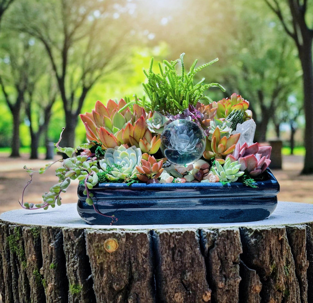 Lotus Crystal Succulent Arrangement