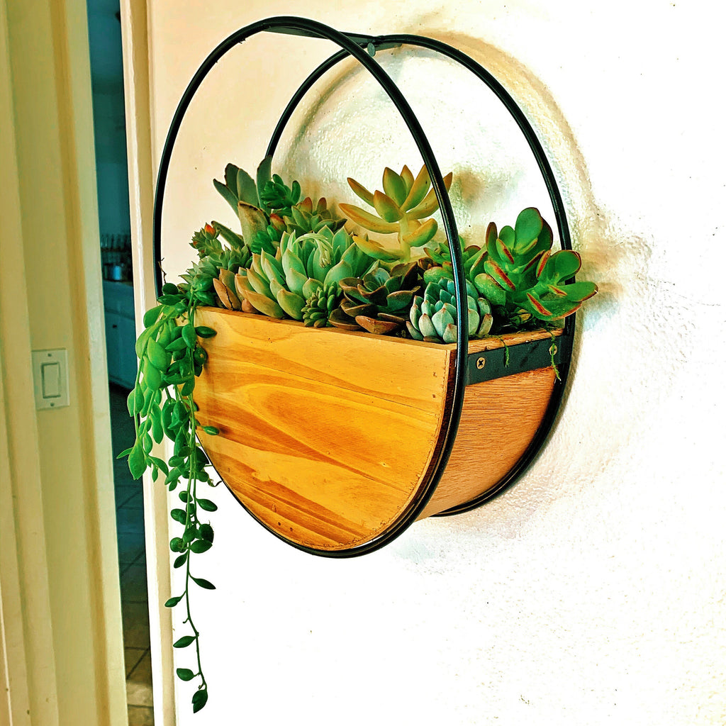 Succulent Wall Planter with Custom Laser Cut Wood Sign – Personalized Living Decor