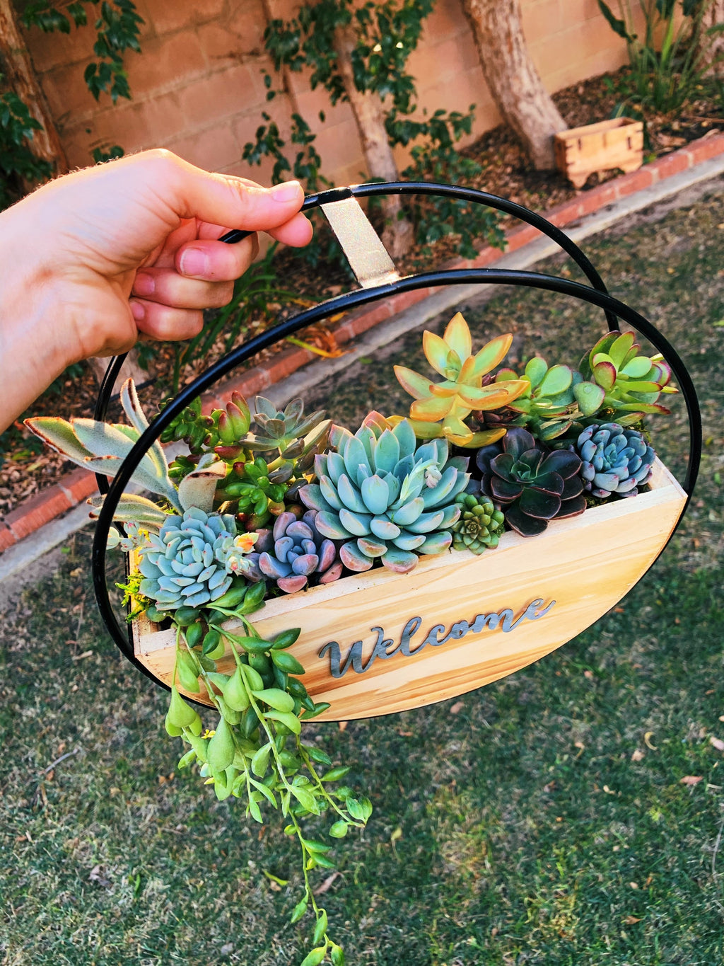 Succulent Wall Planter with Custom Laser Cut Wood Sign – Personalized Living Decor
