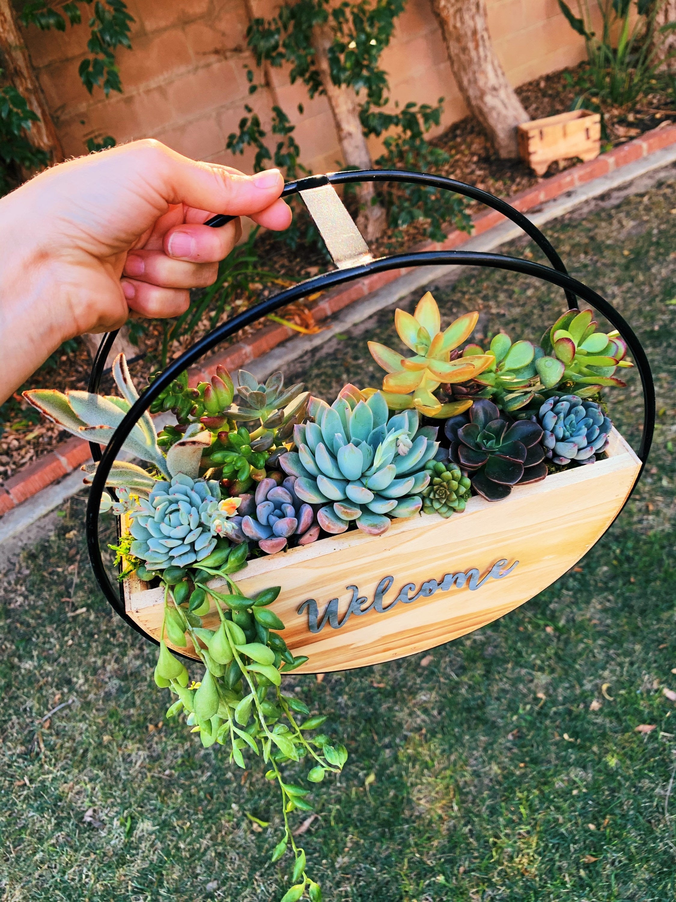 Succulent Wall Planter with Custom Laser Cut Wood Sign – Personalized Living Decor