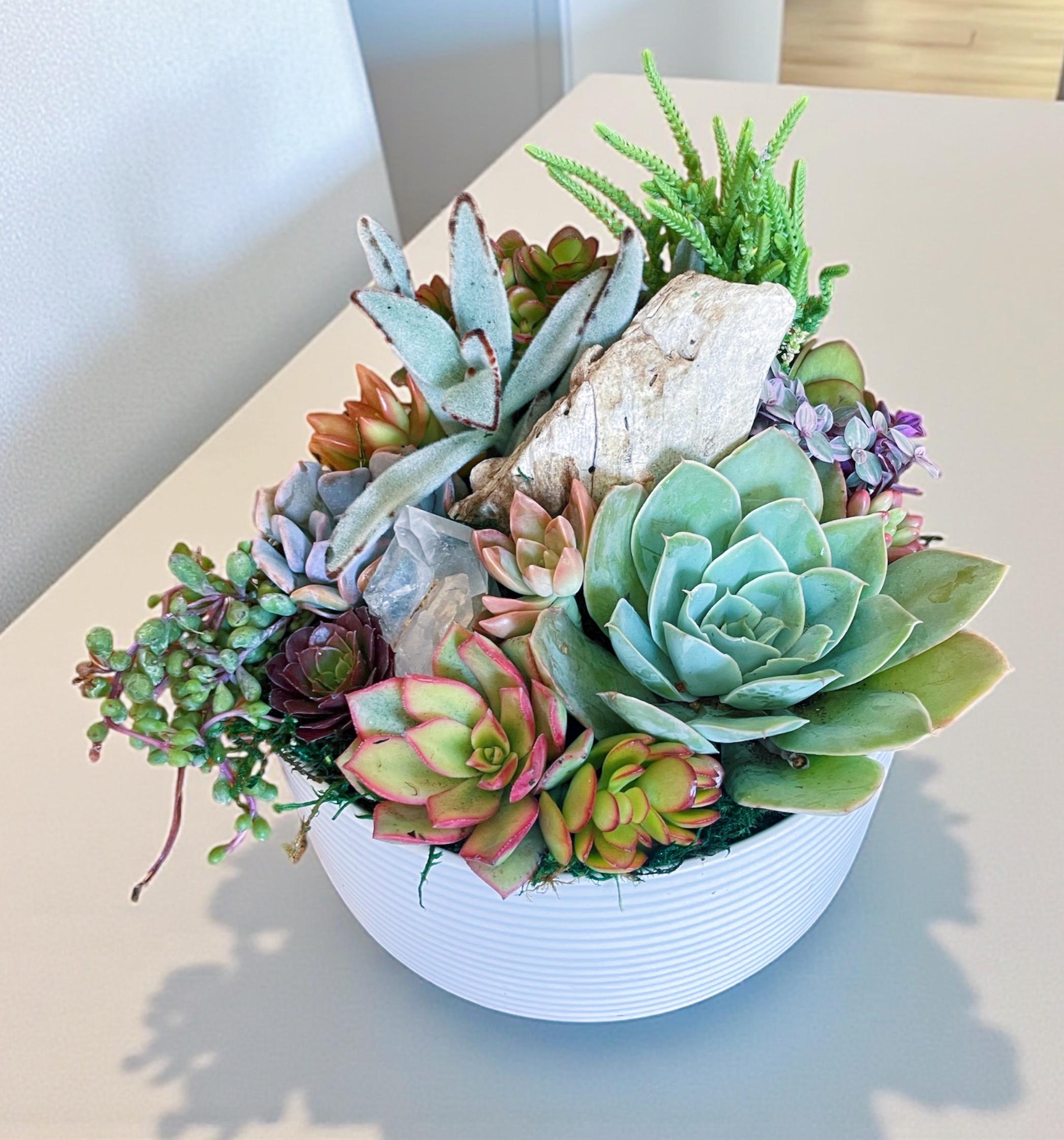 Driftwood Succulent Garden with Quartz Crystal – Coastal Ceramic Bowl Arrangement