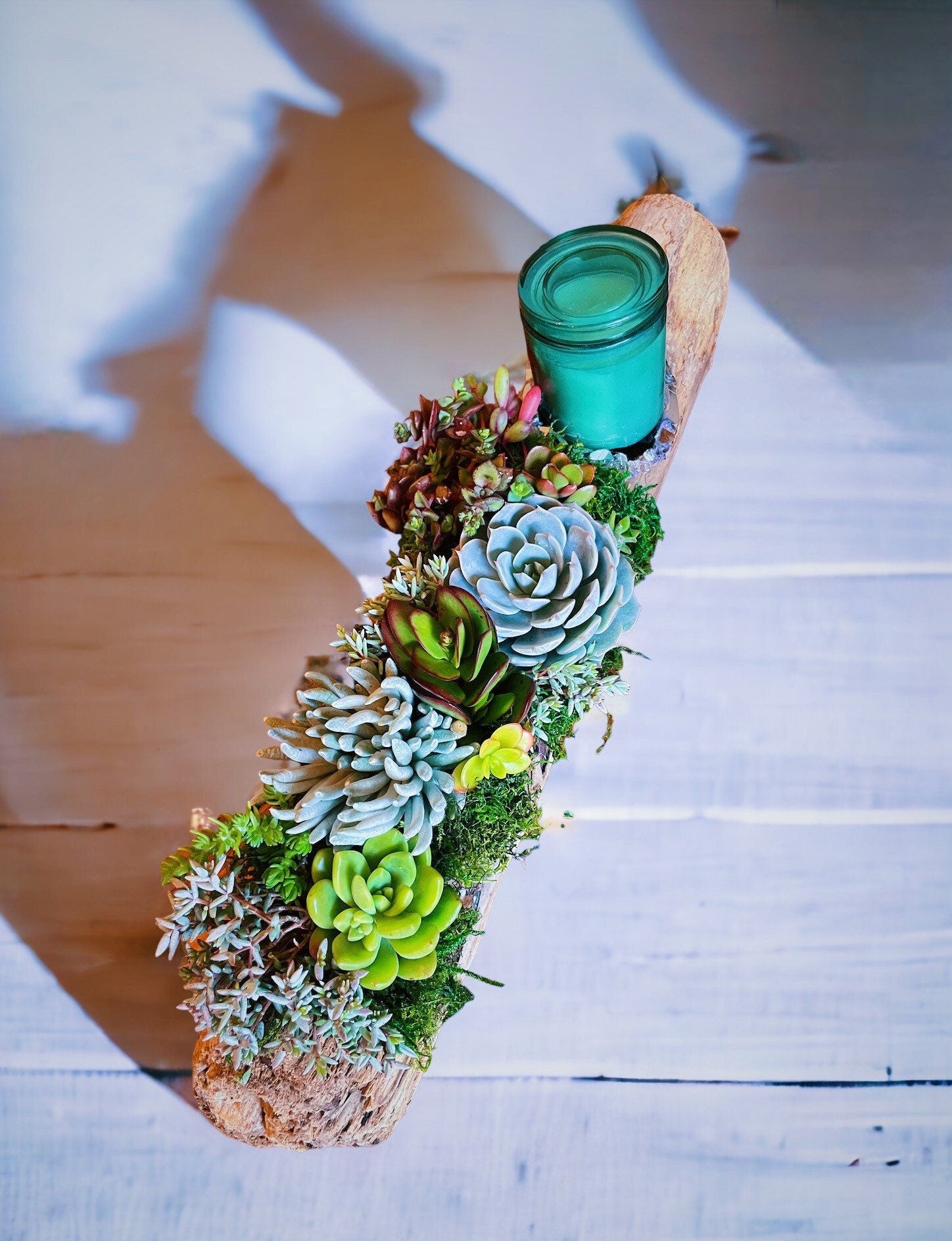 Custom Driftwood Succulent Centerpiece