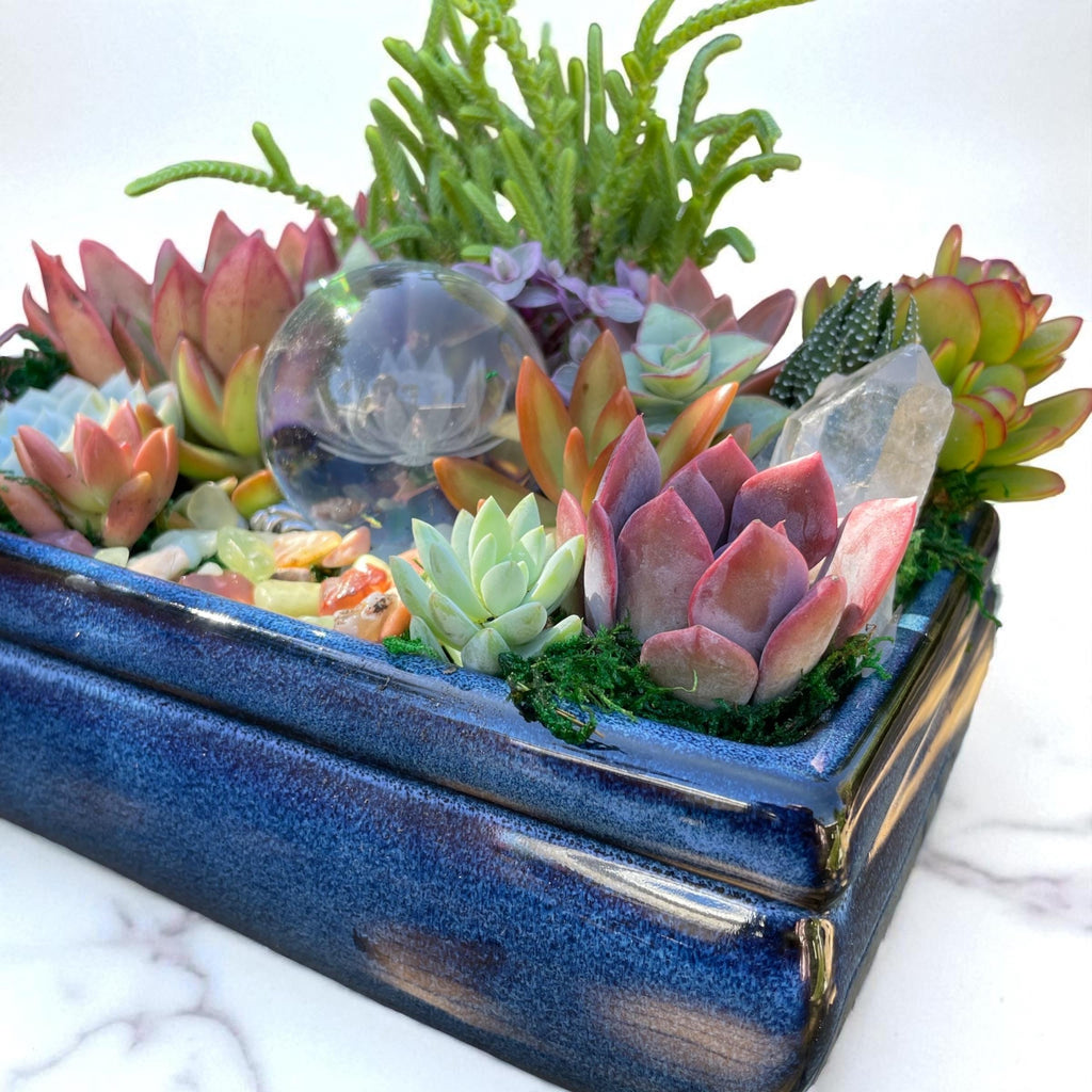 Lotus Crystal Succulent Arrangement
