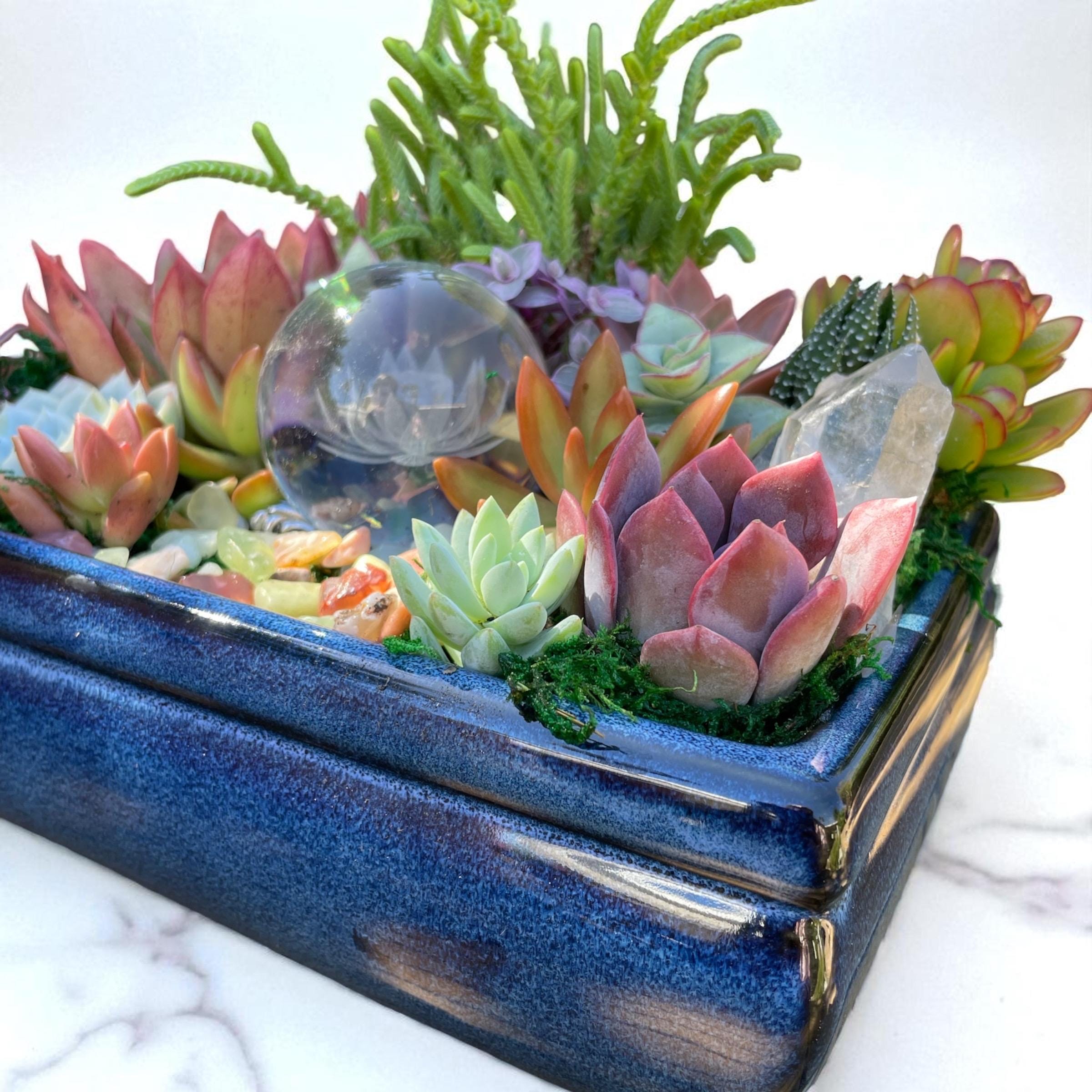 Lotus Crystal Succulent Arrangement