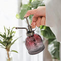 Glass Plant Mister – Vintage Watering Spray Bottle | Air Plant & Houseplant Mister (200ml)