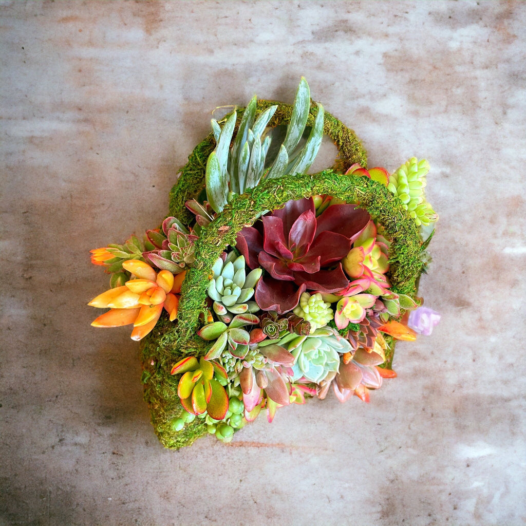 Moss Purse Succulent Planter