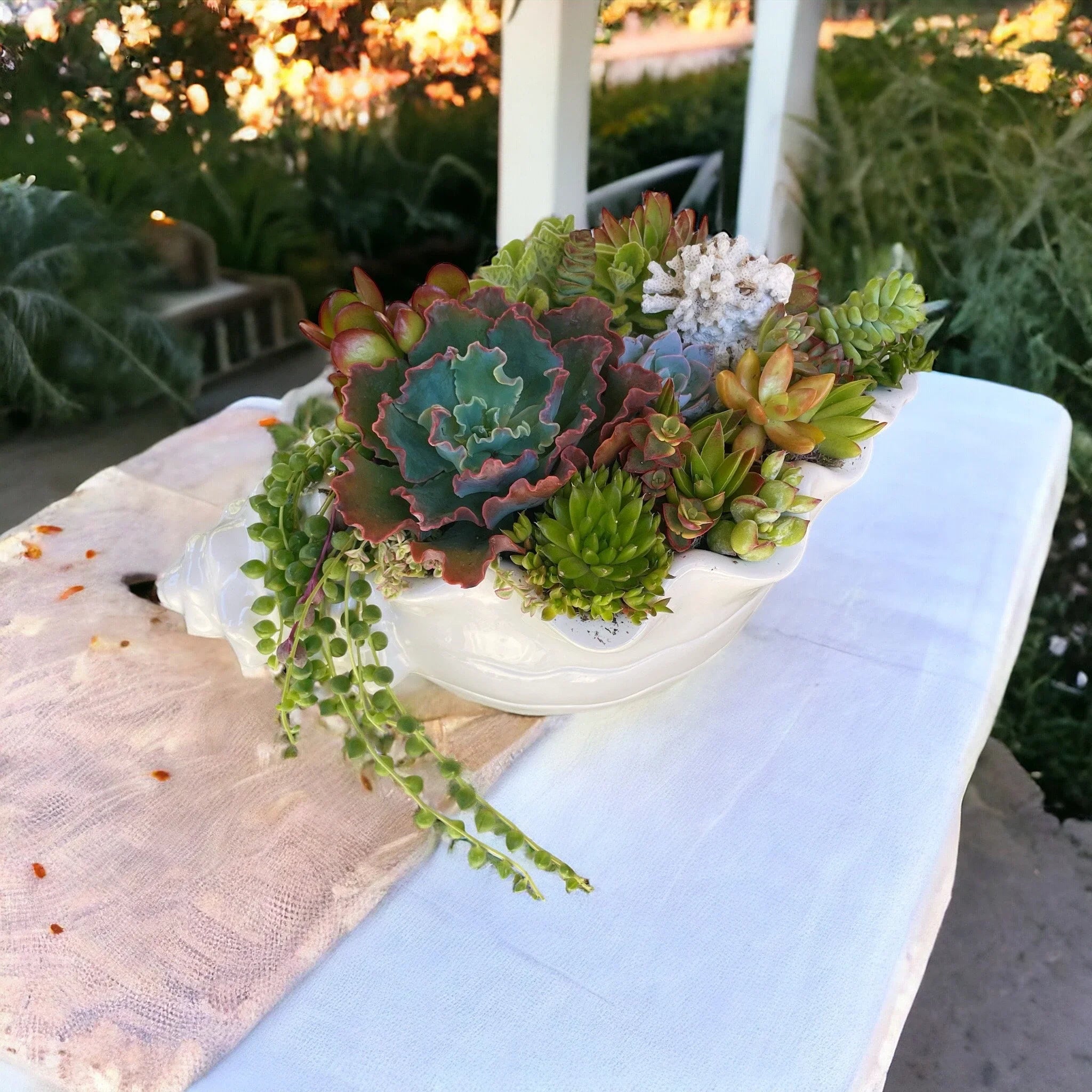 Seashell Succulent Planter – Coastal Malibu-Inspired Arrangement with Live Succulents