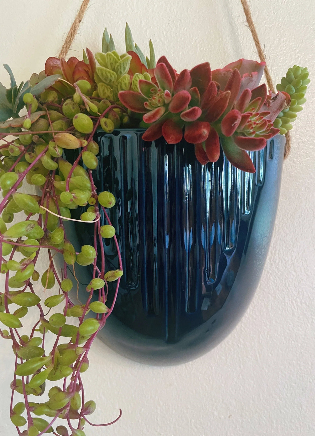 Blue Ceramic Hanging Succulent Planters – Set of 2 or Individual | Trailing Succulents Wall Decor