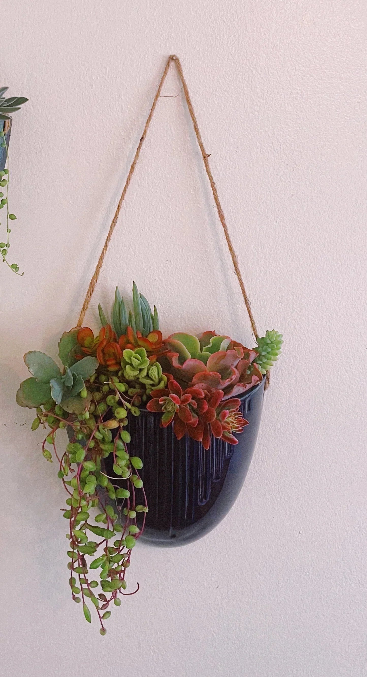 Blue Ceramic Hanging Succulent Planters – Set of 2 or Individual | Trailing Succulents Wall Decor