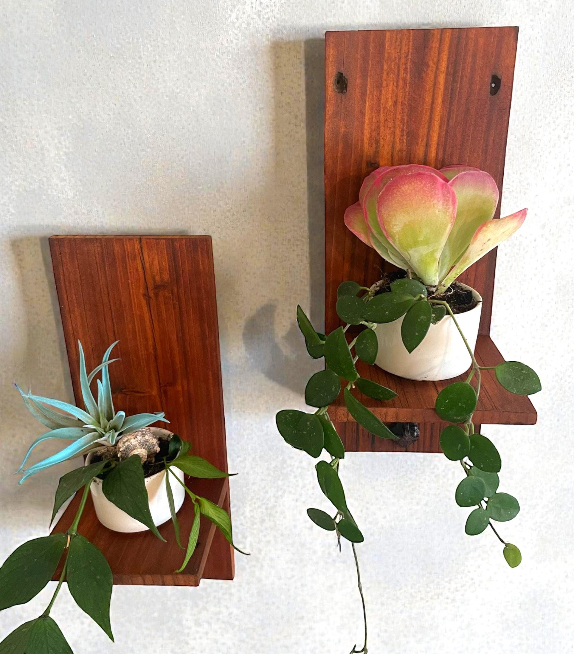 Rustic Reclaimed Wood Wall Shelf with Copper Brackets – Handmade Plant & Candle Display