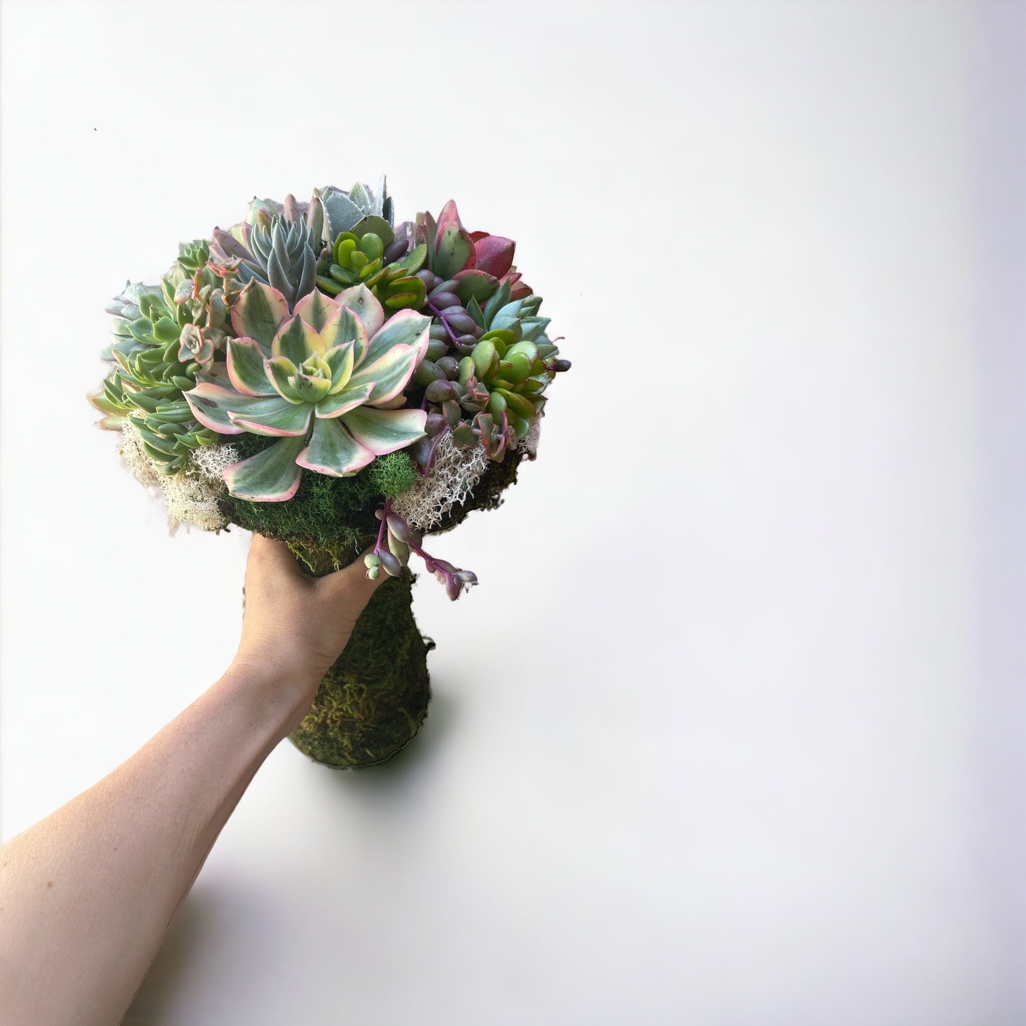 Succulent Mushroom Topiary – Living Moss Sculpture with Live Succulents | Garden Art Decor