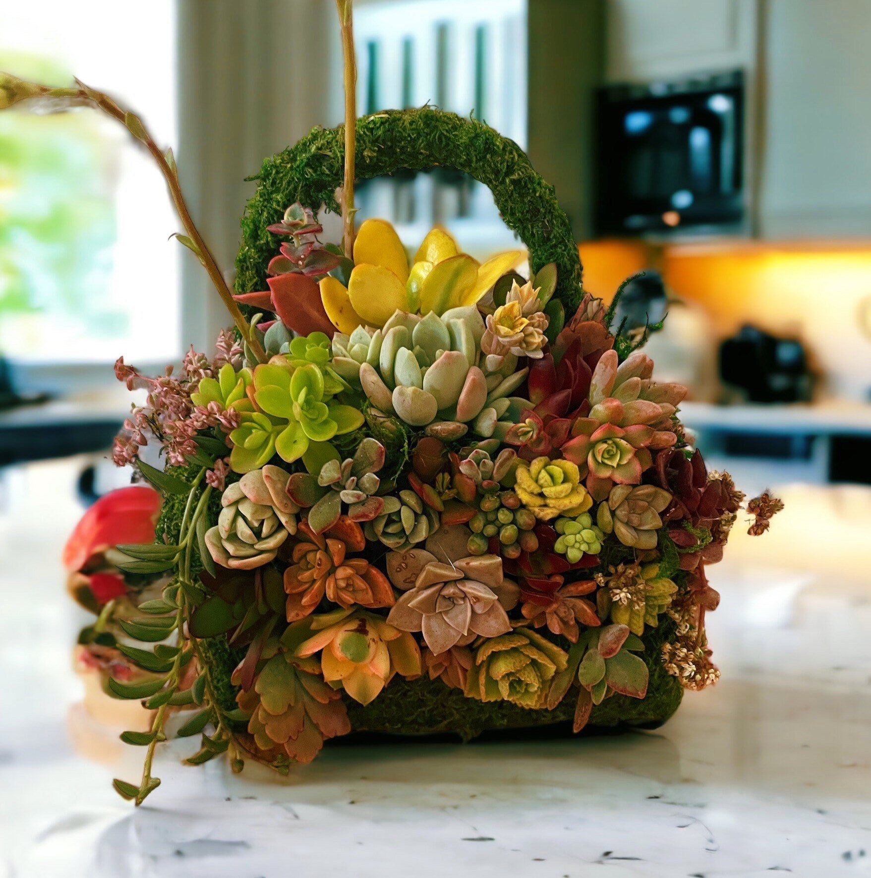 Moss Purse Succulent Planter