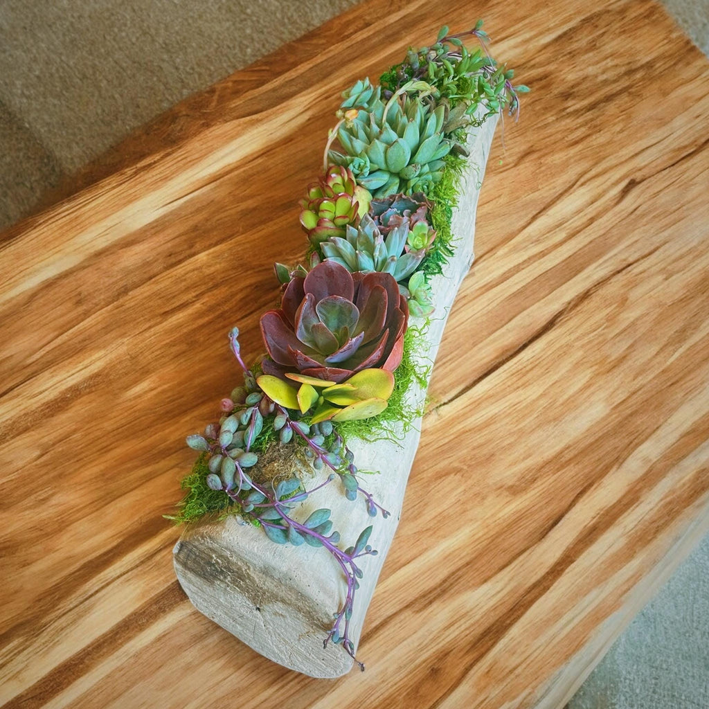 Custom Driftwood Succulent Centerpiece