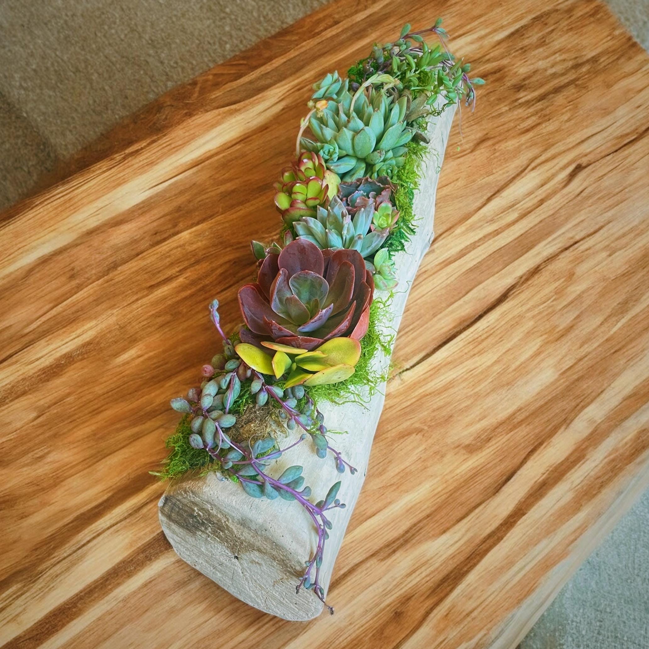 Custom Driftwood Succulent Centerpiece
