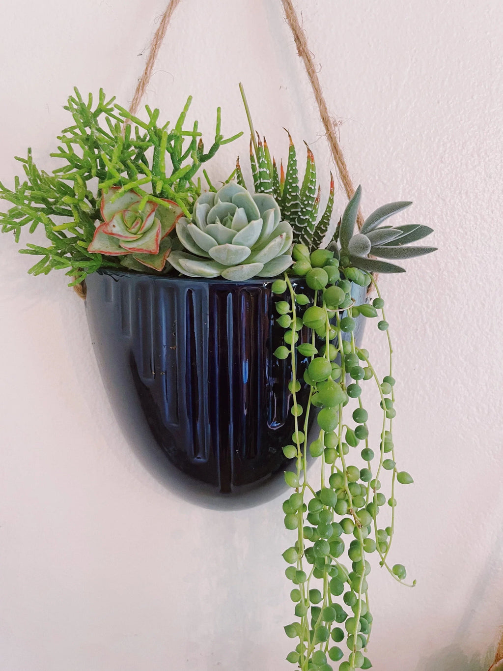 Blue Ceramic Hanging Succulent Planters – Set of 2 or Individual | Trailing Succulents Wall Decor