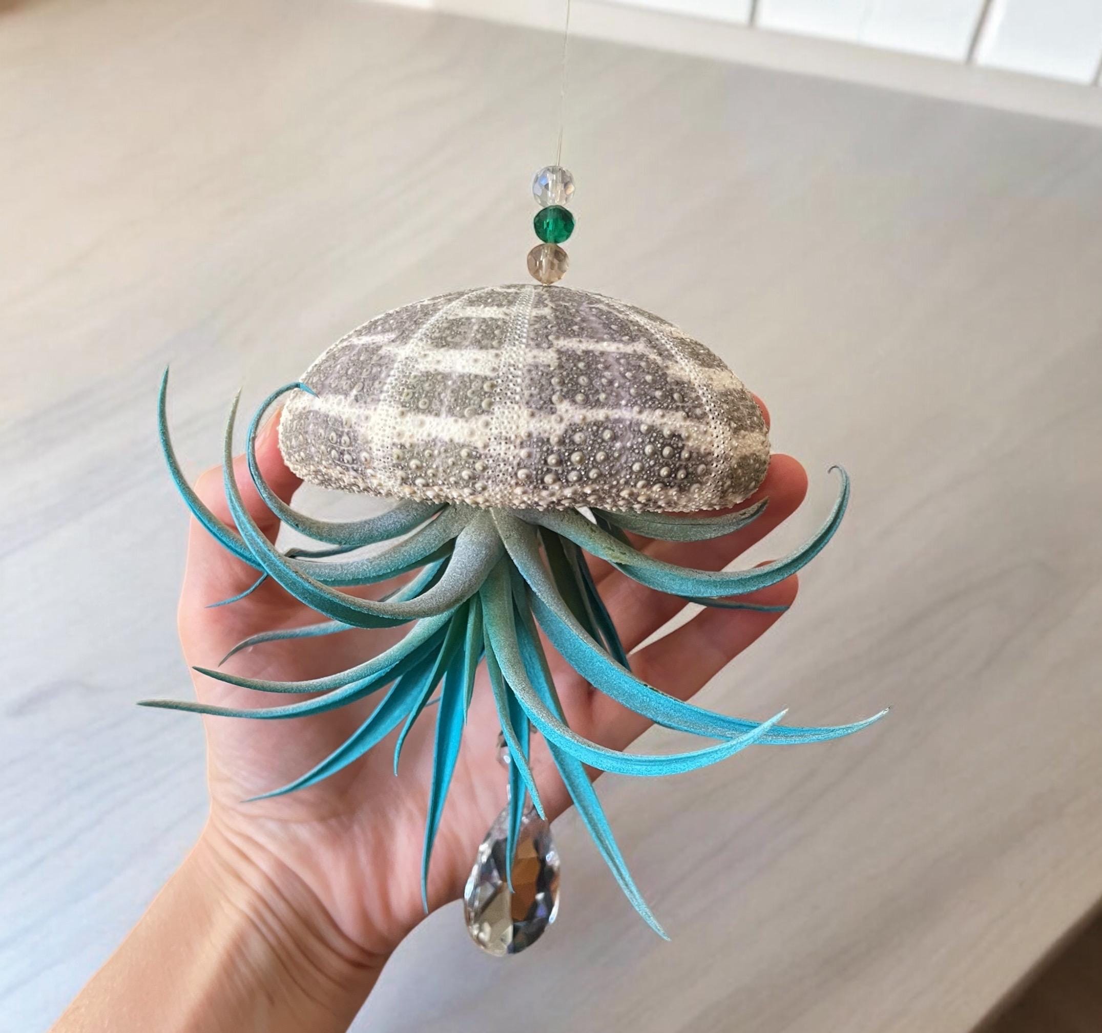Colorful Sea Urchin Air Plant Ornament