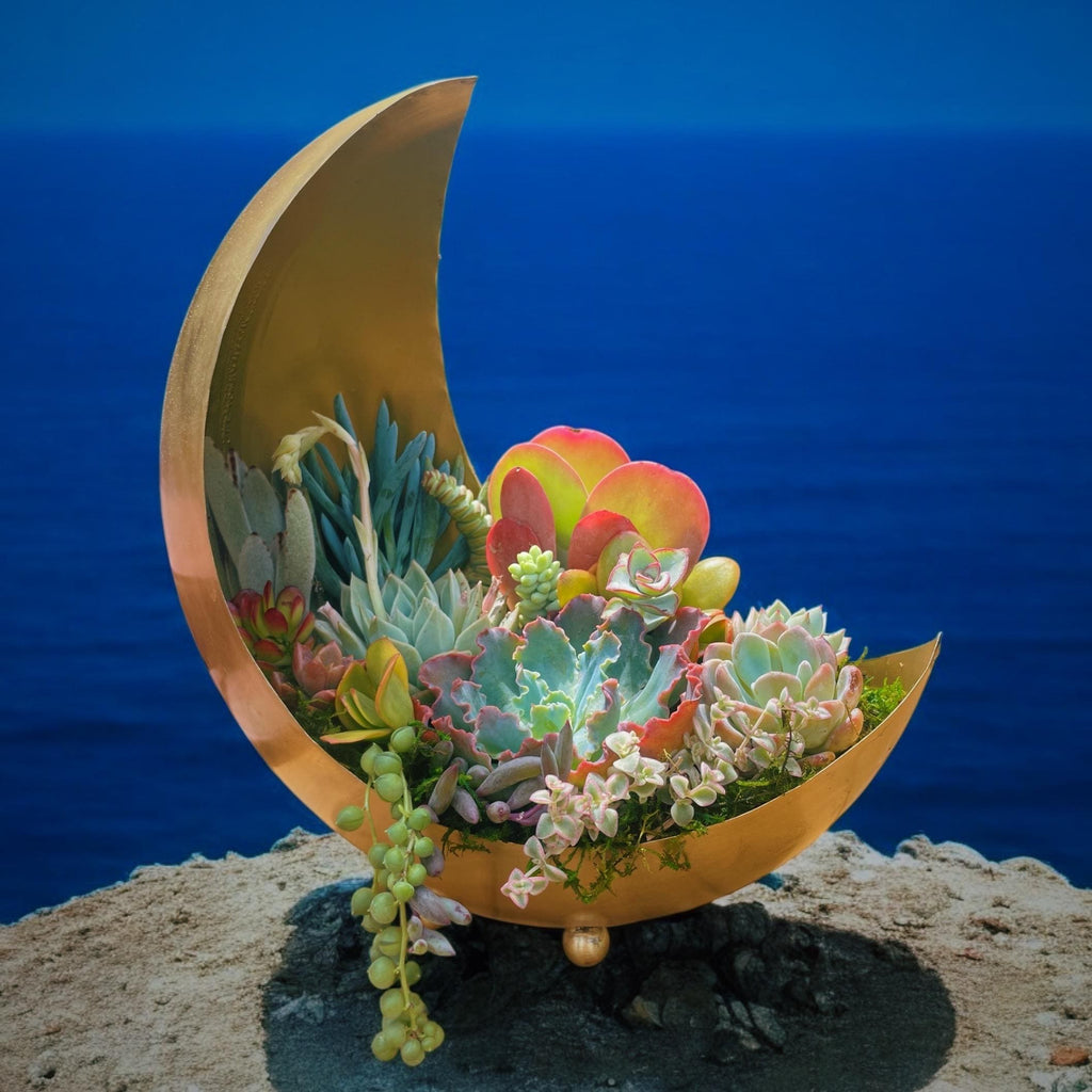 Gold Moon Succulent Planter