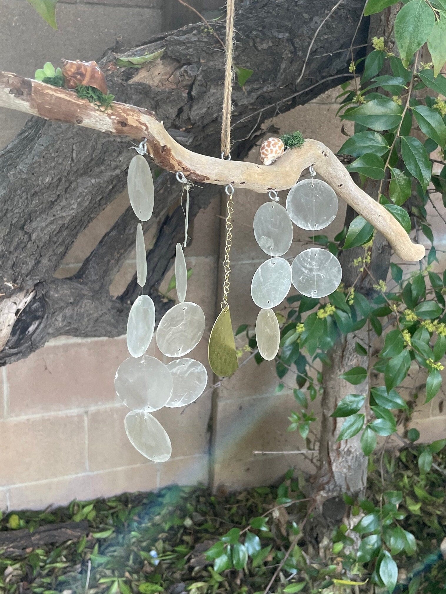 Driftwood Wind Chime with Capiz Shells & Gold Moon – Coastal Boho Hanging Decor