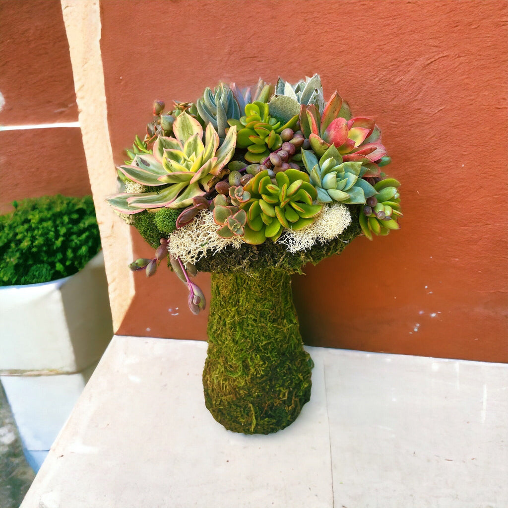Succulent Mushroom Topiary – Living Moss Sculpture with Live Succulents | Garden Art Decor