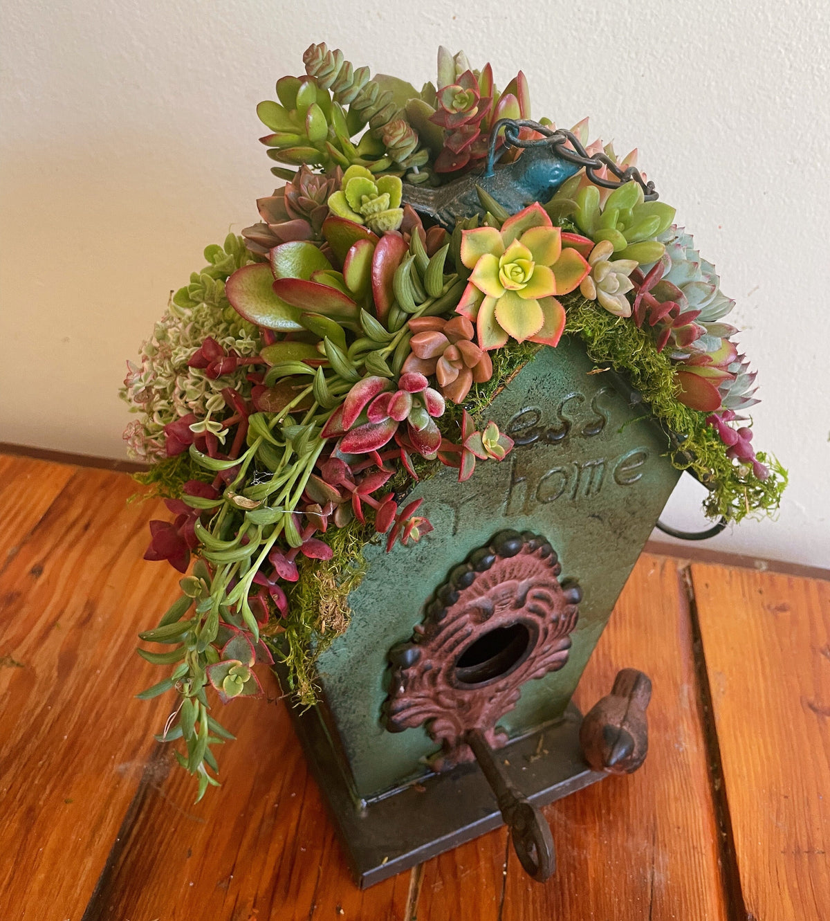 Live or Faux Succulent Birdhouse | Hanging Green Metal Bird House with Moss Roof | Outdoor Garden Decor | Gift for Bird & Plant Lovers