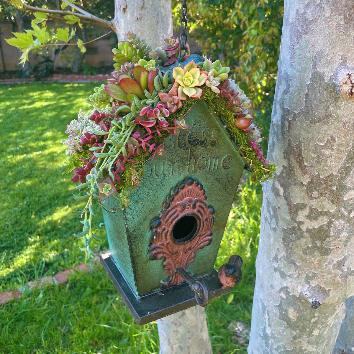 Live or Faux Succulent Birdhouse | Hanging Green Metal Bird House with Moss Roof | Outdoor Garden Decor | Gift for Bird & Plant Lovers