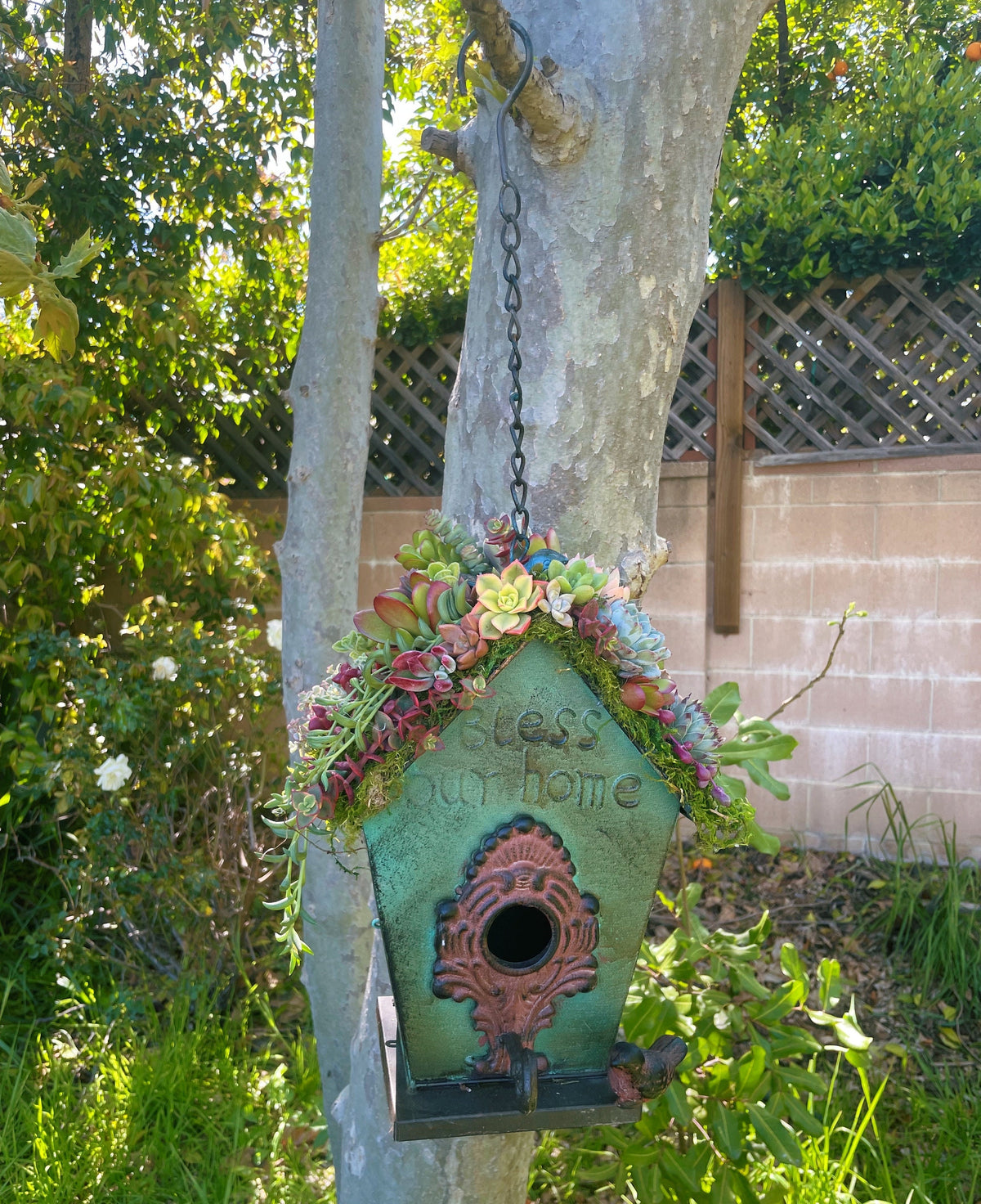 Live or Faux Succulent Birdhouse | Hanging Green Metal Bird House with Moss Roof | Outdoor Garden Decor | Gift for Bird & Plant Lovers