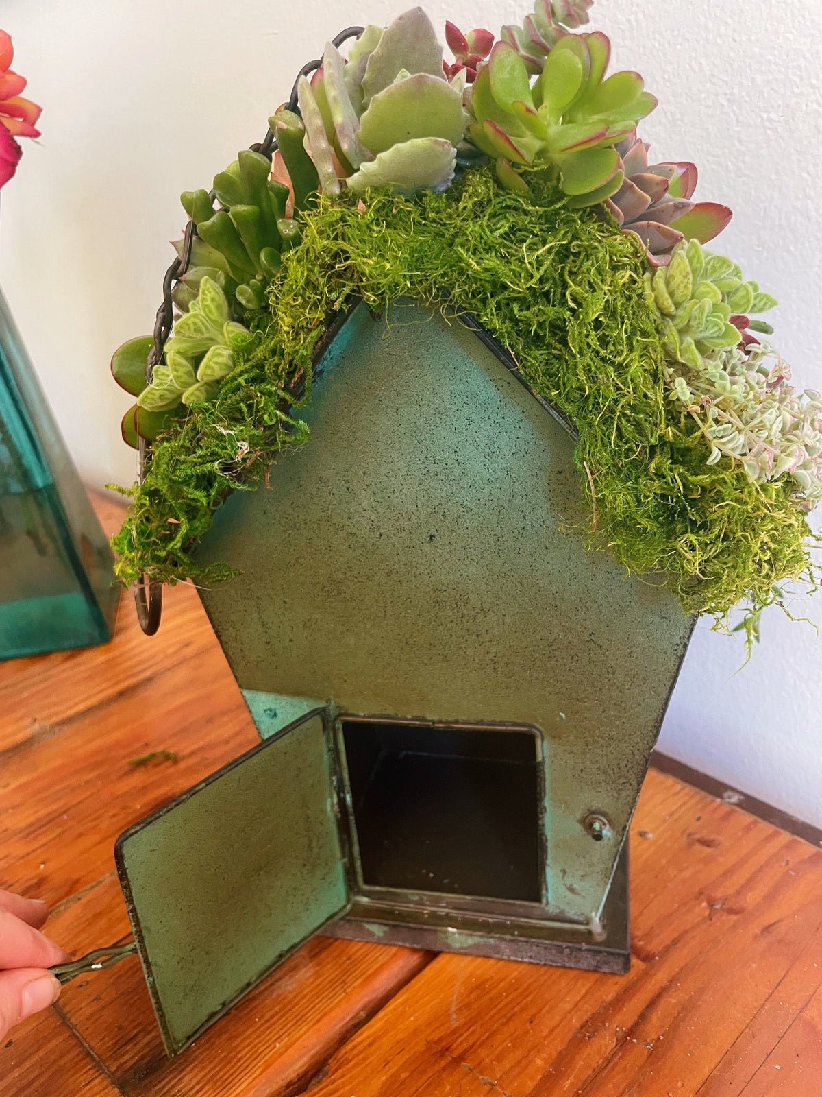 Live or Faux Succulent Birdhouse | Hanging Green Metal Bird House with Moss Roof | Outdoor Garden Decor | Gift for Bird & Plant Lovers