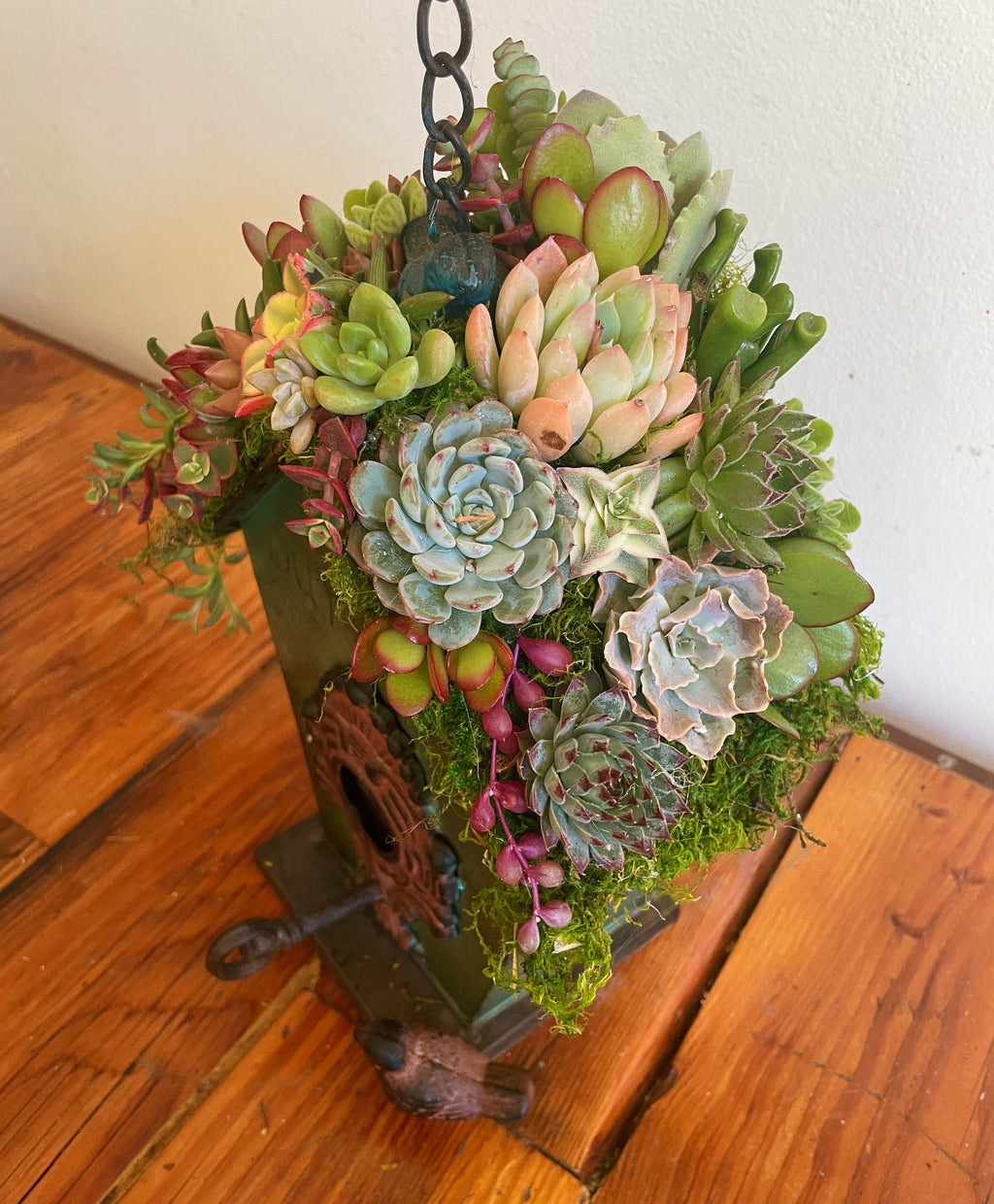 Live or Faux Succulent Birdhouse | Hanging Green Metal Bird House with Moss Roof | Outdoor Garden Decor | Gift for Bird & Plant Lovers