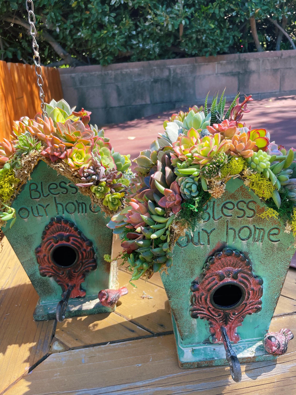 Live or Faux Succulent Birdhouse | Hanging Green Metal Bird House with Moss Roof | Outdoor Garden Decor | Gift for Bird & Plant Lovers