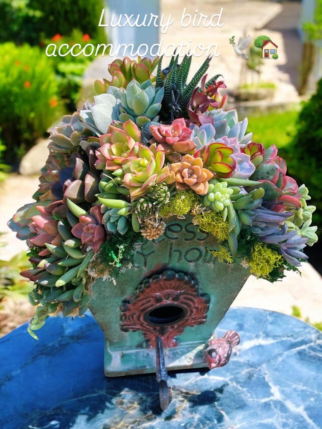 Live or Faux Succulent Birdhouse | Hanging Green Metal Bird House with Moss Roof | Outdoor Garden Decor | Gift for Bird & Plant Lovers