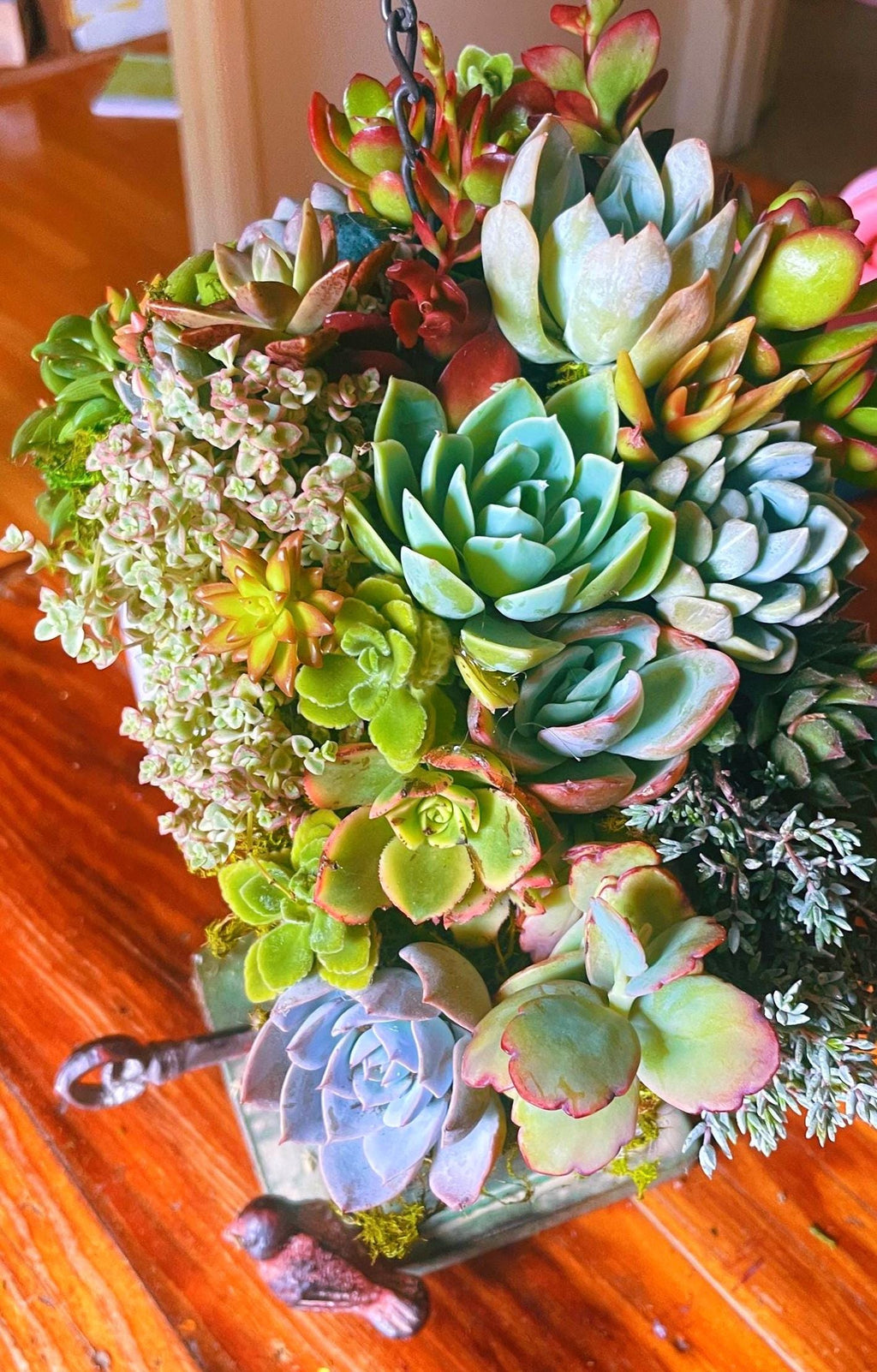 Live or Faux Succulent Birdhouse | Hanging Green Metal Bird House with Moss Roof | Outdoor Garden Decor | Gift for Bird & Plant Lovers