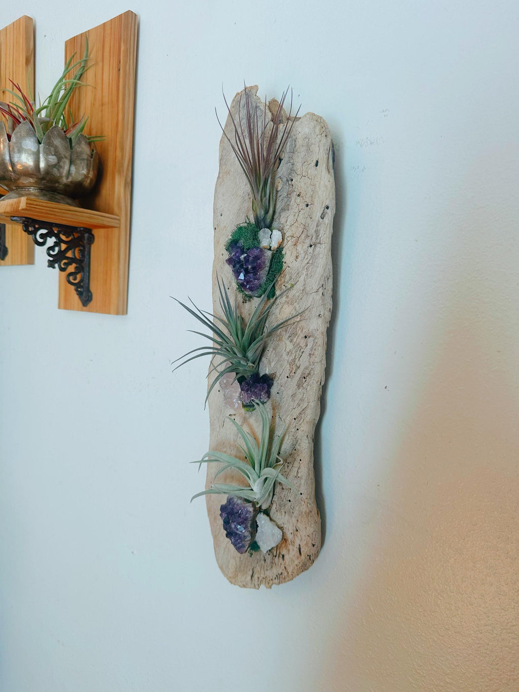 Crystal Driftwood Air Plant Wall Hanging | Amethyst & Quartz Tillandsia Wall Art | Boho Coastal Decor