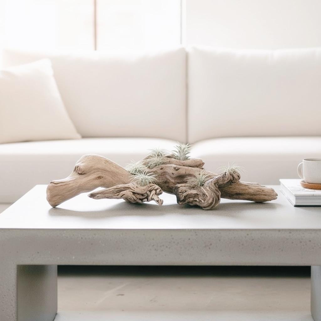 Sculptural Driftwood Centerpiece with Air Plants – Coastal Table Decor – Natural Wood Arrangement – Modern Organic Home Decor