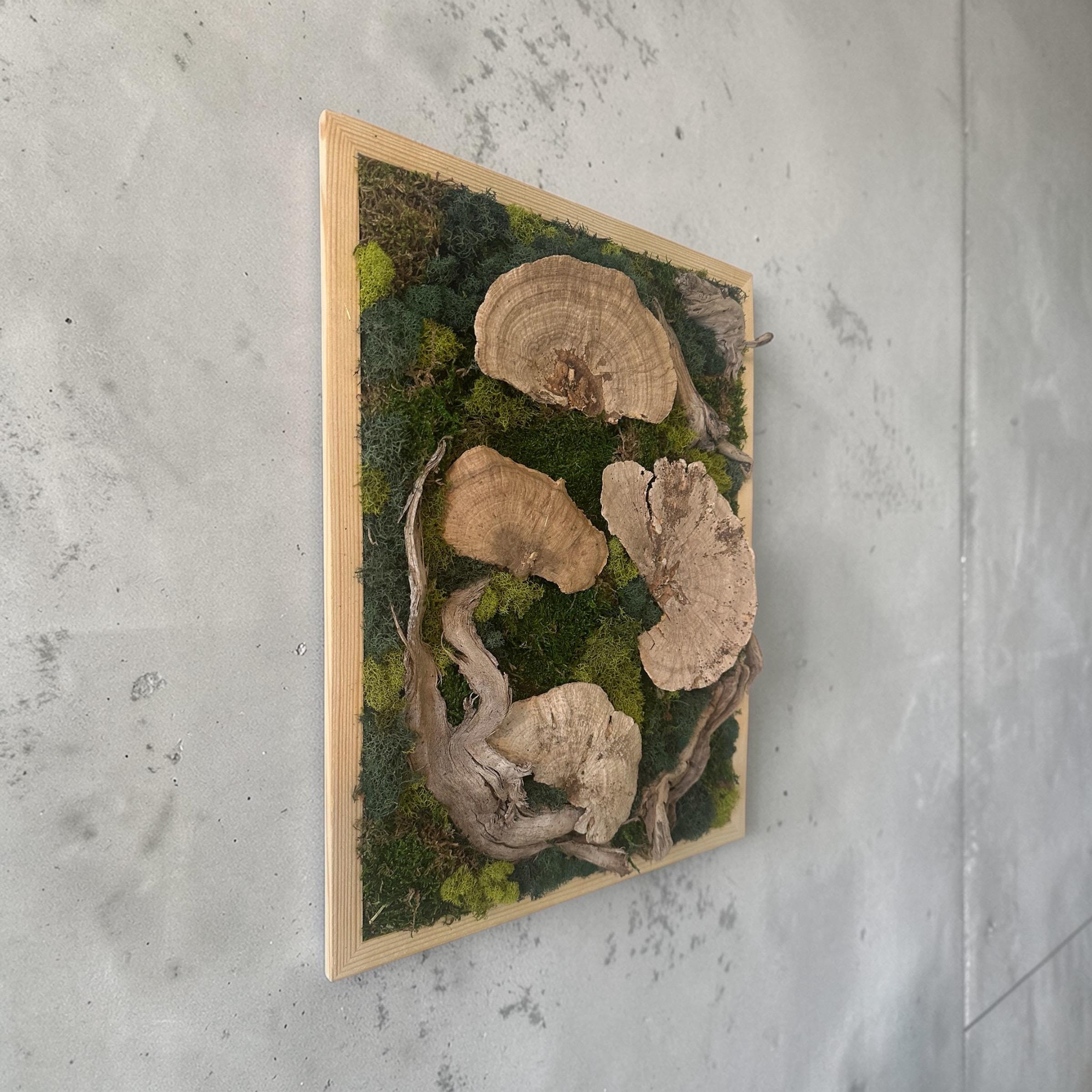 Moss Wall Art with Driftwood, Shells & Succulents | Preserved Moss Wall Decor | Handmade Natural Wall Hanging | Reclaimed Roots