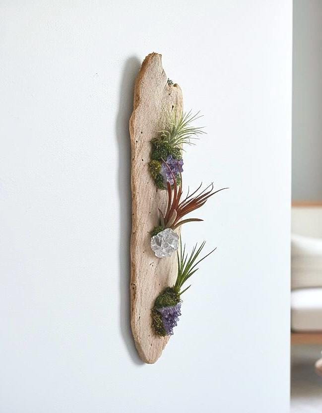 Crystal Driftwood Air Plant Wall Hanging | Amethyst & Quartz Tillandsia Wall Art | Boho Coastal Decor