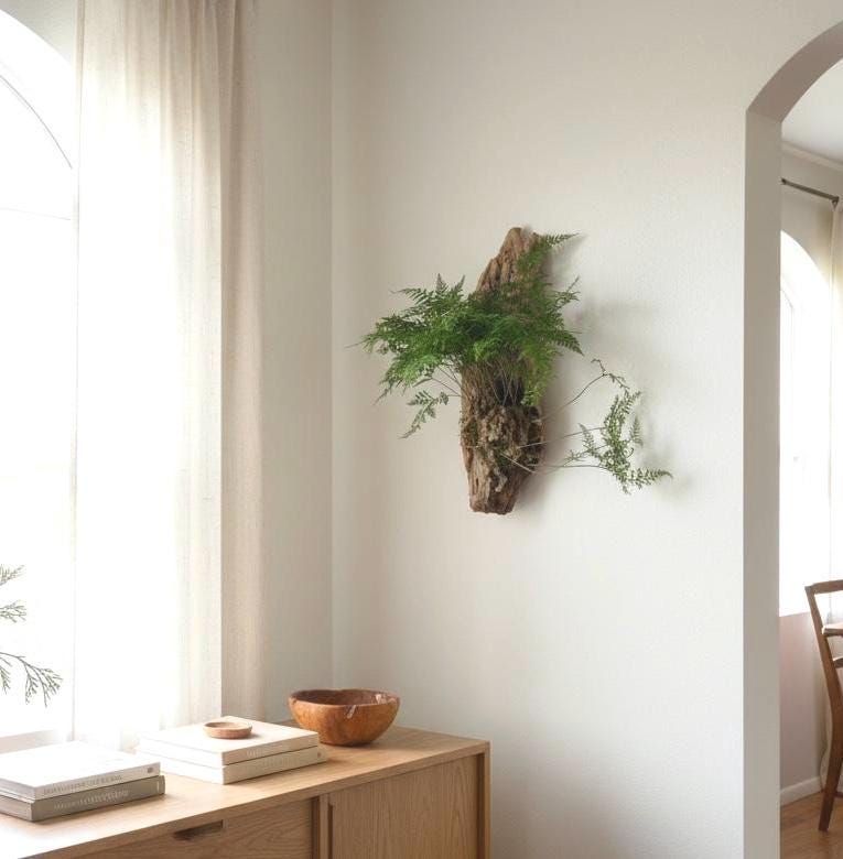 Driftwood Fern Wall Hanging – One of a Kind Living Wall Art – Sculptural Coastal Decor – Natural Wood Plant Mount – 25”