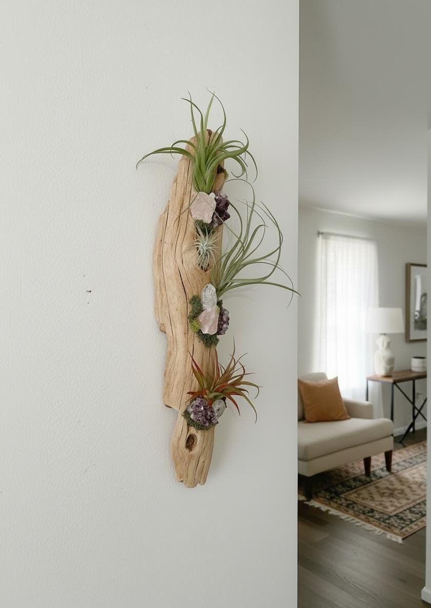 Crystal Driftwood Air Plant Wall Hanging | Amethyst & Quartz Tillandsia Wall Art | Boho Coastal Decor