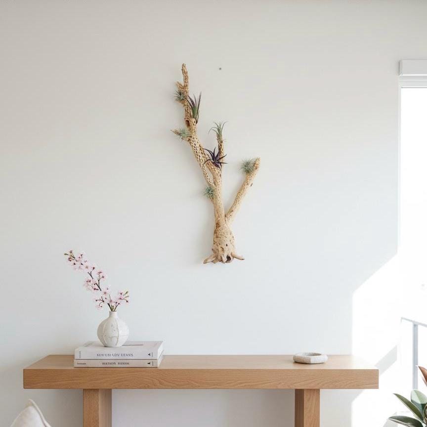 Large Cholla Cactus Air Plant Wall Hanging | Natural Desert Wall Art | Mounted Tillandsia Display | Vertical or Horizontal Hanging Decor